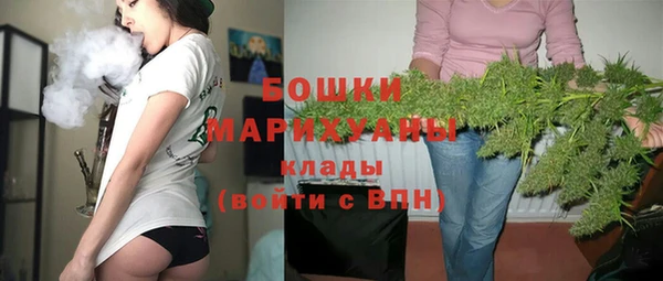 шишки Заволжье