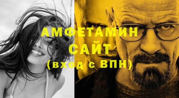шишки Заволжье