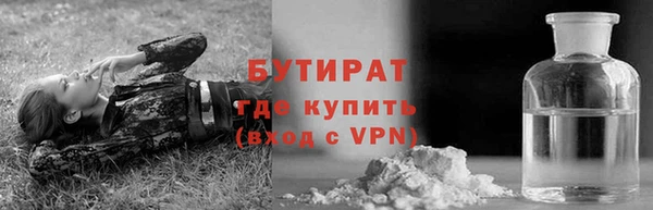 шишки Заволжье