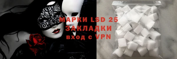 шишки Заволжье