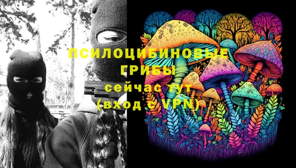 ПСИЛОЦИБИНОВЫЕ ГРИБЫ Грязовец