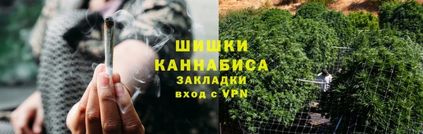 шишки Заволжье