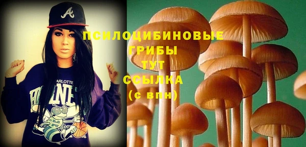 ПСИЛОЦИБИНОВЫЕ ГРИБЫ Грязовец