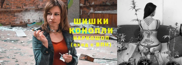 шишки Заволжье