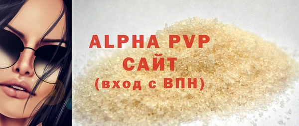 шишки Заволжье