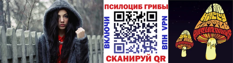 Псилоцибиновые грибы мицелий  Зубцов 